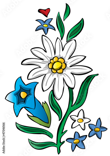 edelweiss floral alpine design