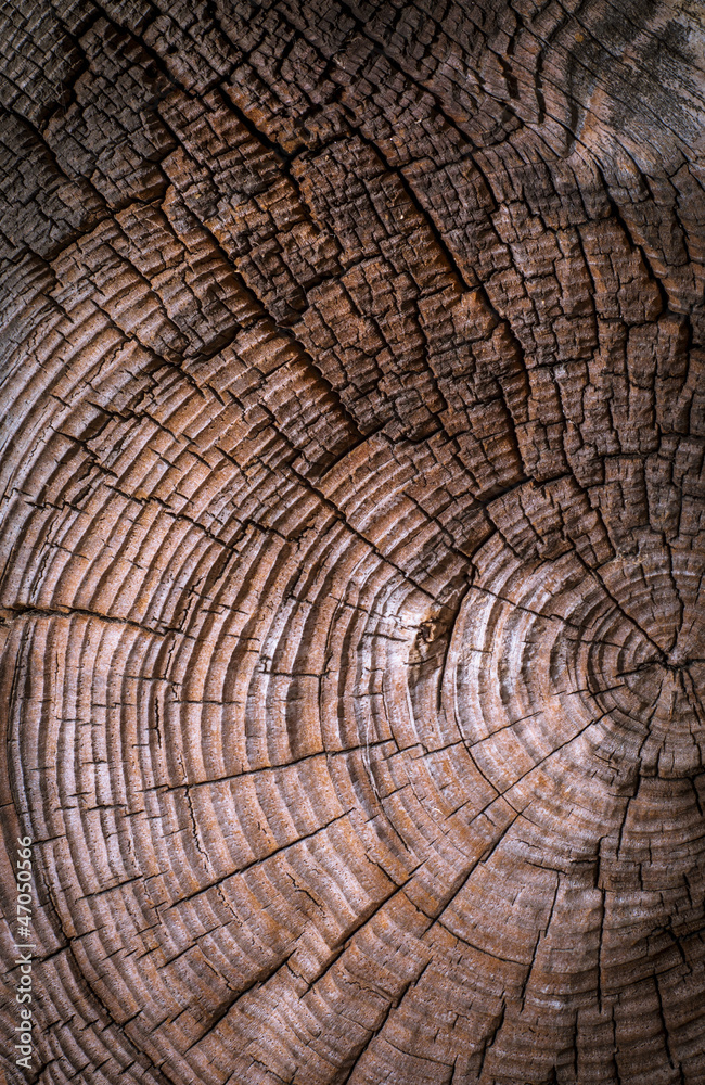 Fototapeta premium Wooden background