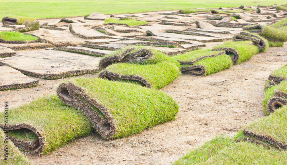 Rolls of green grass, laying in progress. Rolls of green grass, laying in progress.