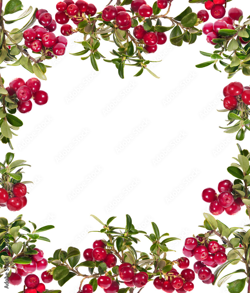 red cowberries frame isolated on white