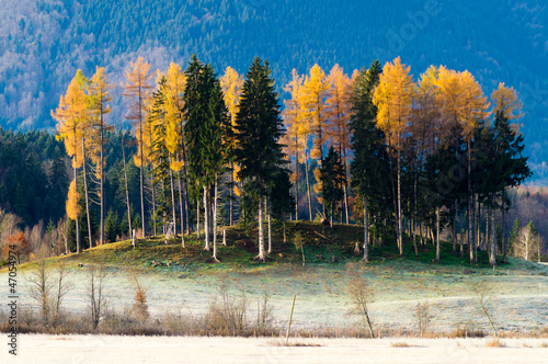 Obernacher Moos II photo