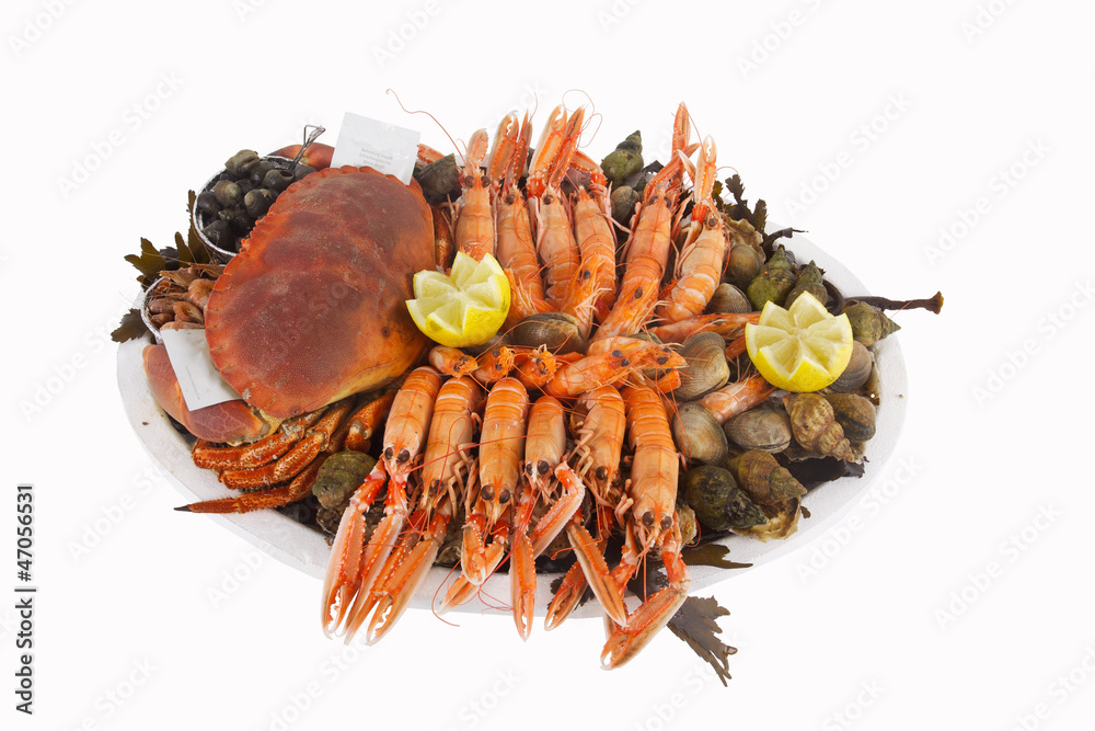 plateau de fruits de mer Stock Photo | Adobe Stock