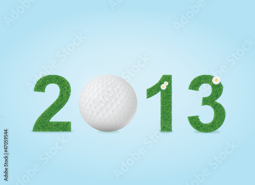 Golf ball in 2013 year's sign