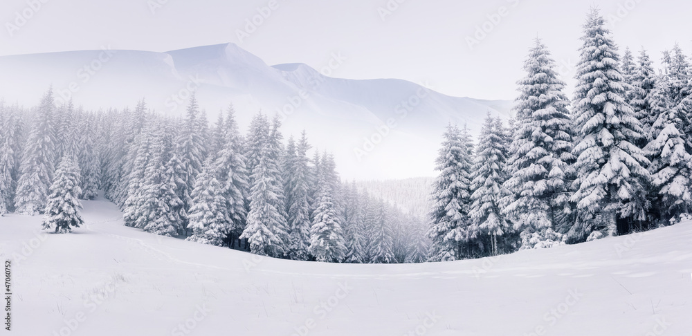 Obraz premium Panorama of the foggy winter landscape in the mountains