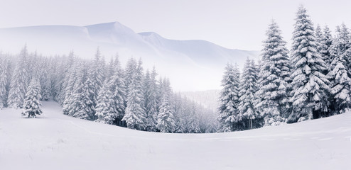 Fototapete Jahreszeiten Nebliges Winterpanorama in den Bergen  © Andrew Mayovskyy