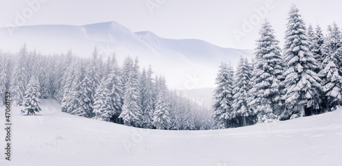 Panorama of the foggy winter landscape in the mountains © Andrew Mayovskyy