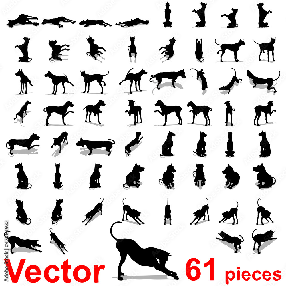 Vector conceptual collection of black dog silhouette