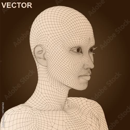 Vector conceptual wireframe human female head isolated