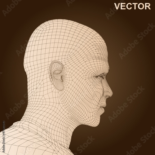 Vector conceptual wireframe human man head isolated