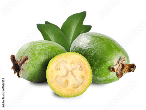 Tropical fruit feijoa