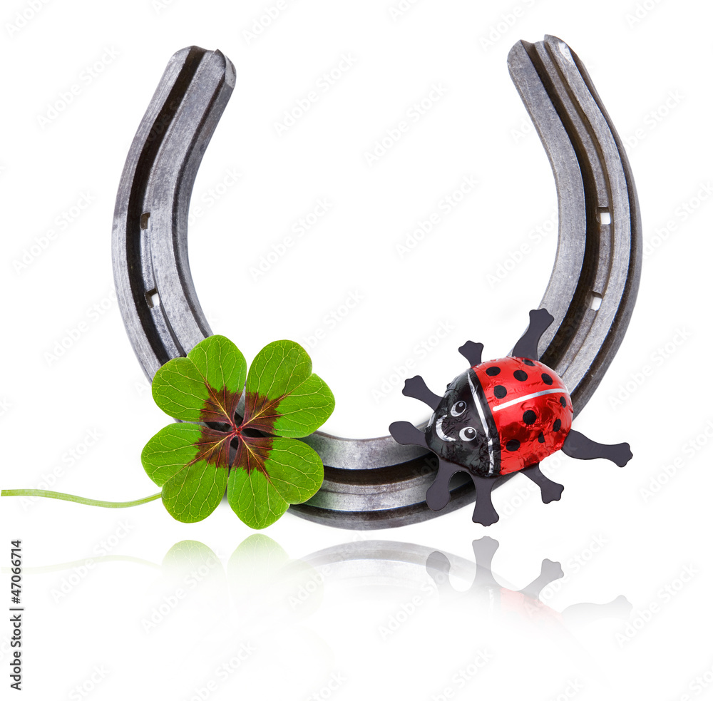 Hufeisen mit Glücksklee und Käfer Stock Photo Adobe Stock