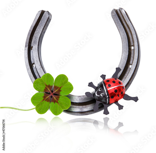 Hufeisen mit Glücksklee und Käfer