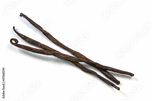 Vanille (Vanilla planifolia)