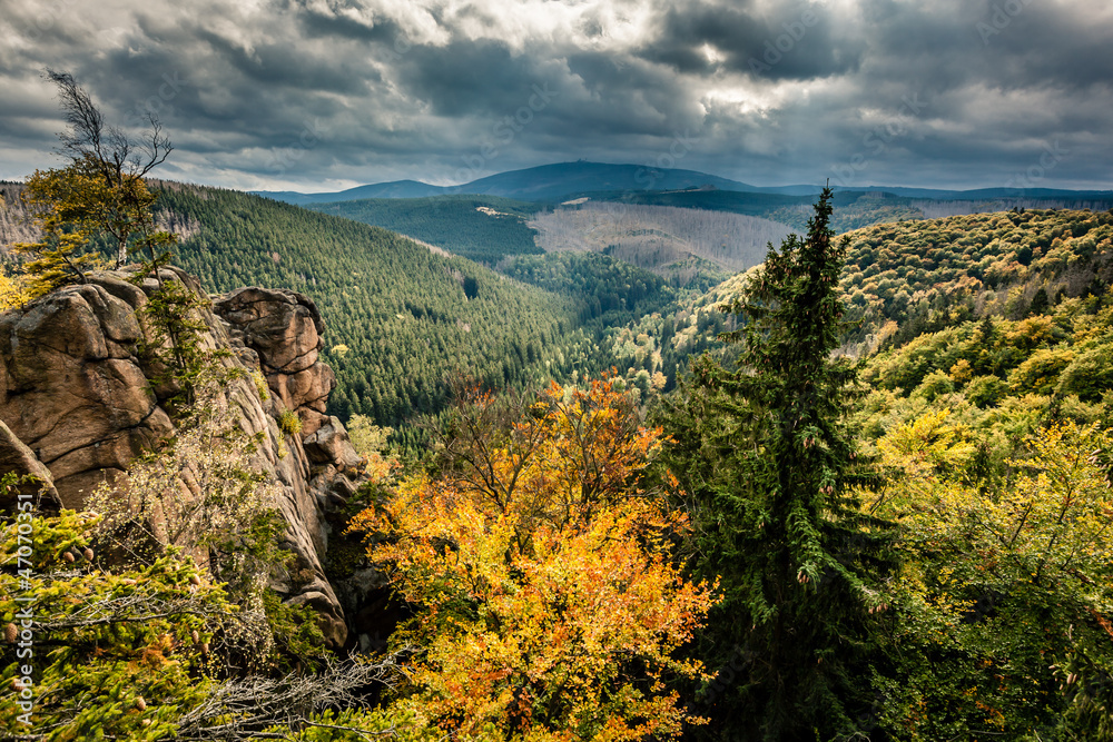 Fototapeta premium wilder Harz, Herbst, Brocken