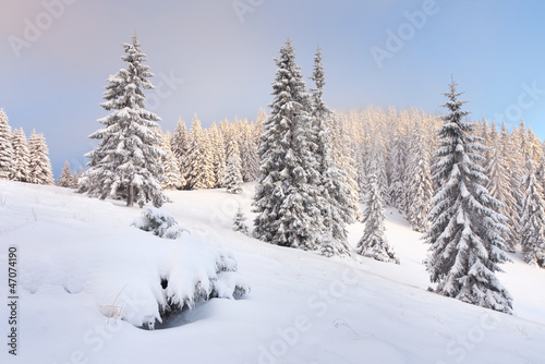 .Beautiful winter morning in the mountain © Andrew Mayovskyy