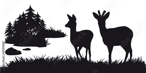 Motive hunting of animals and landscapes