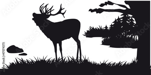 Motive hunting of animals and landscapes