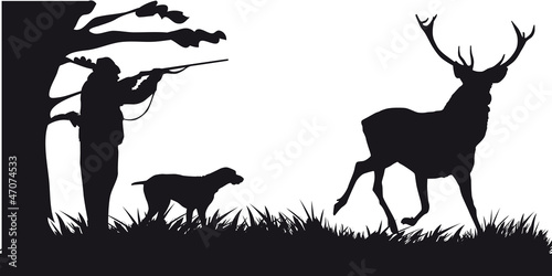 Motive hunting of animals and landscapes