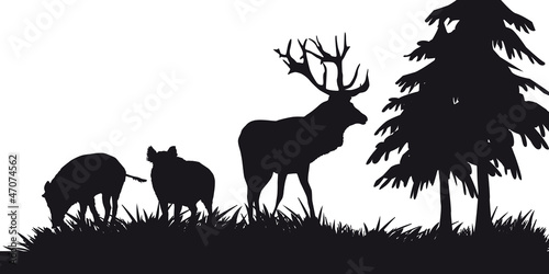 Motive hunting of animals and landscapes