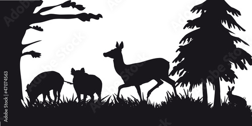 Motive hunting of animals and landscapes
