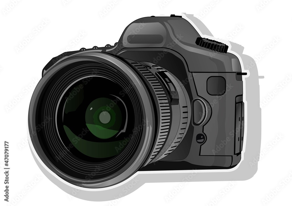 take pictures