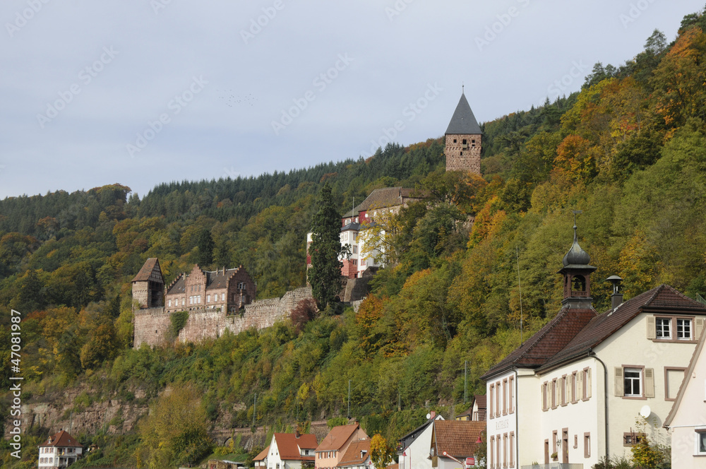 Fototapeta premium Burg in Zwingenberg am Neckar