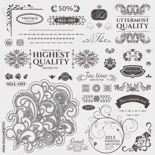 Design elements. Vector set. Floral and ornamental symbols