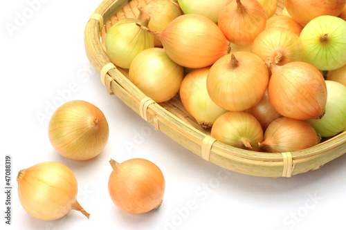 petit onion