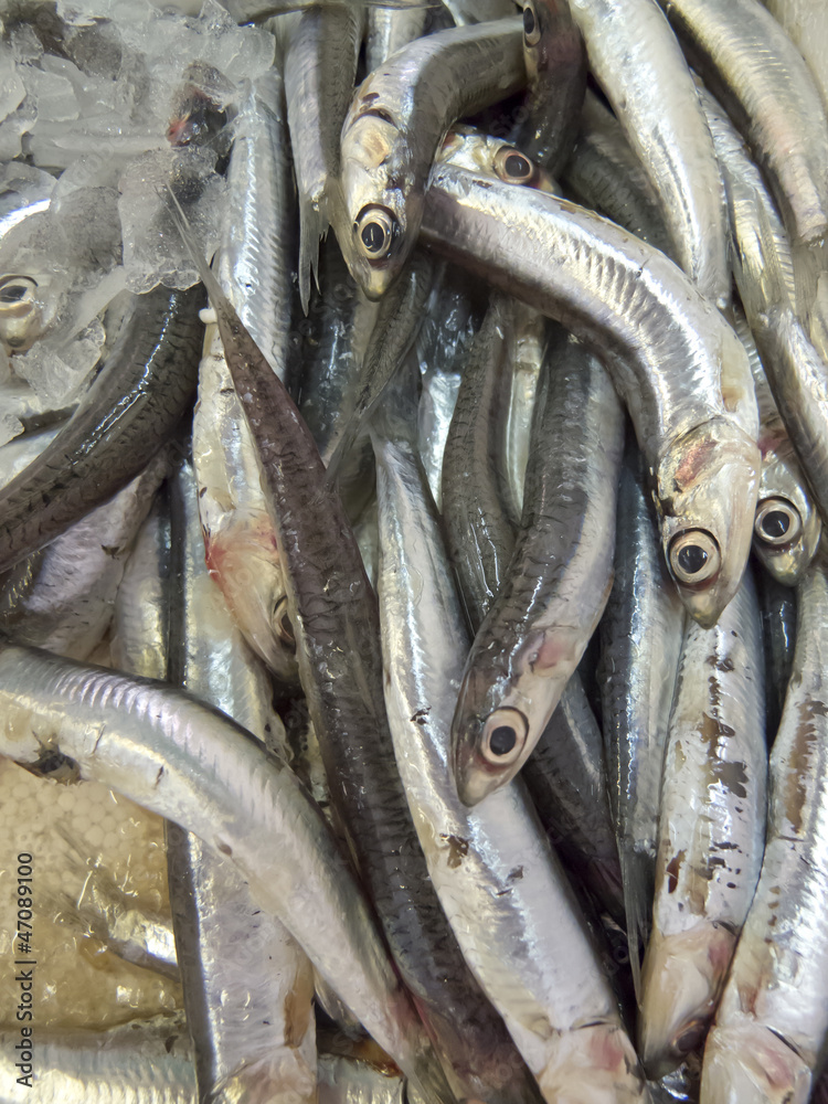 Obraz premium Anchovies