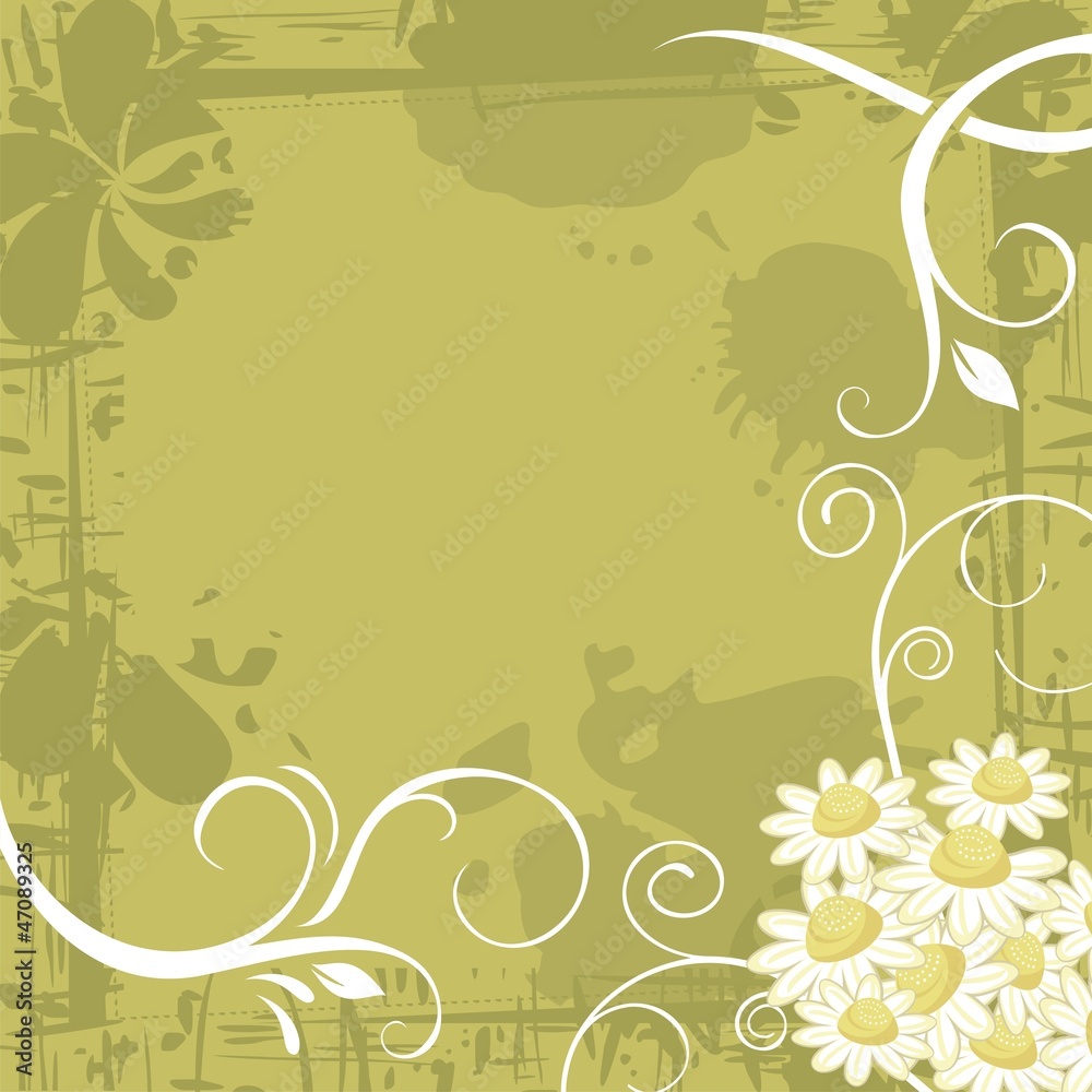 Chamomile background with space for text