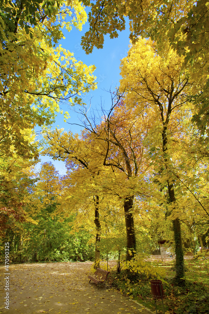 Naklejka premium Autumn in the park