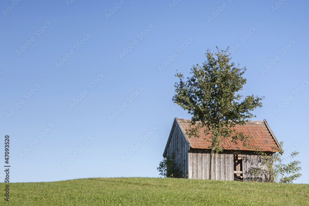 Scheune mit Baum