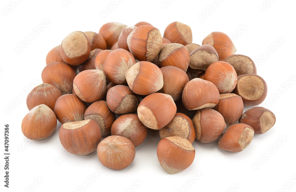 Heap of hazelnut isolated on white background Heap of hazelnut isolated on white background