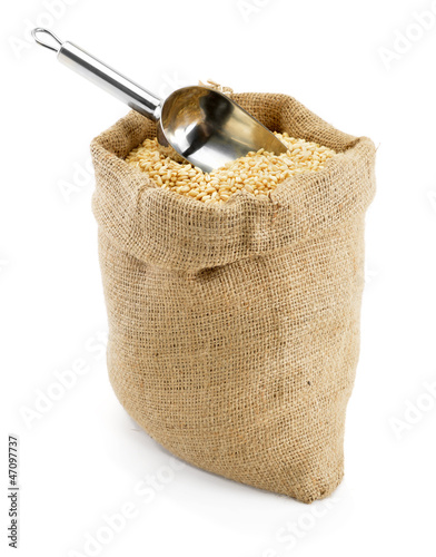 Sack of wheat grains with scoop isolated on white photo