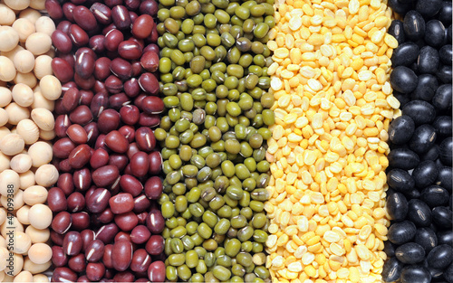 four types of bean