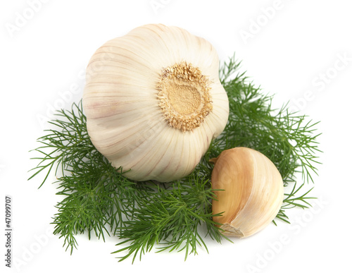 garlic and fennel