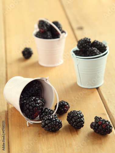 Blackberries in bucket