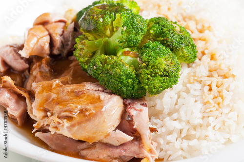 turkey meat with broccoli topped on a rice photo