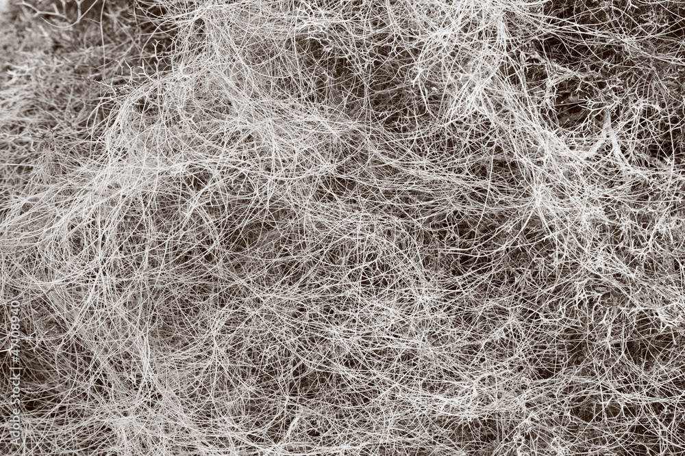 Natural background of dry tangled plant shoots Natural background of dry tangled plant shoots