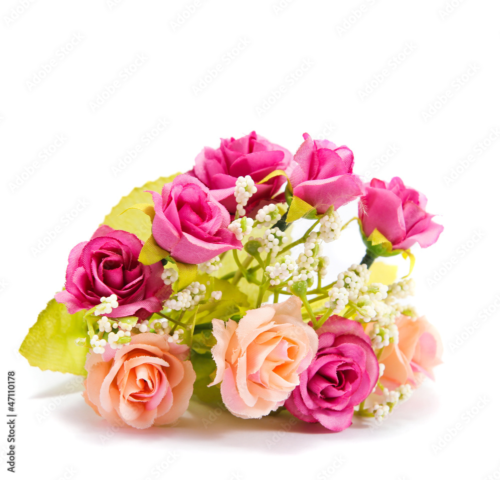 Flower on white background Flower on white background
