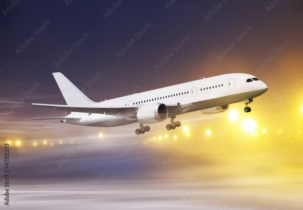 plane in snowstorm
