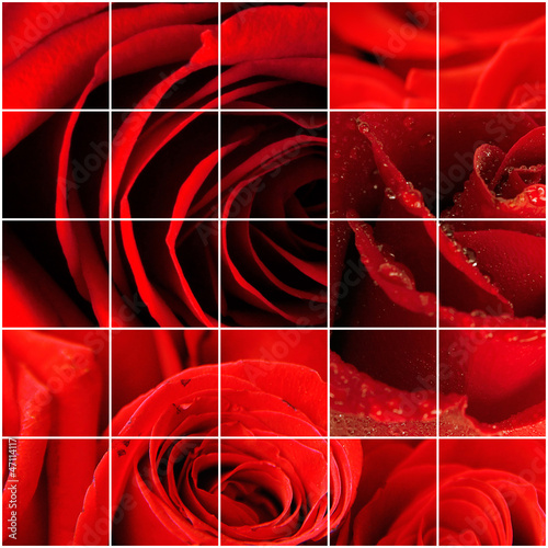bright red rose petals as a...
