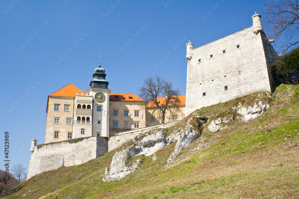Pieskowa Skala castle near Krakow