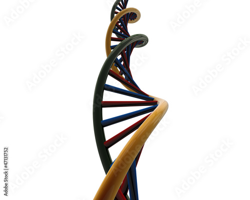 DNA
