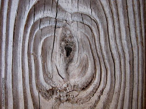 Growth rings.