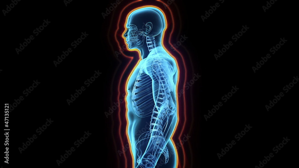 Immune system defence, body loop rotation on black background