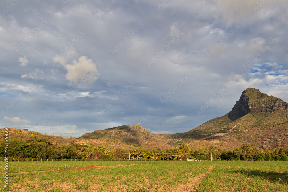 landscape of Mauritius
