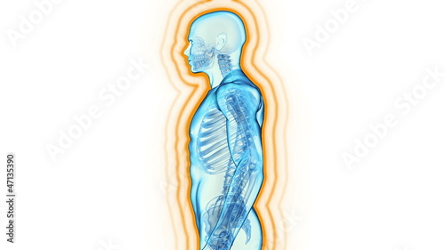 Immune system defence, body loop rotation on white background photo