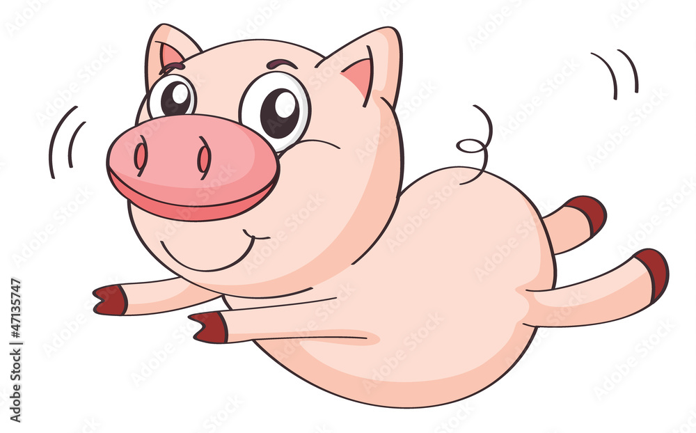 a pig a pig