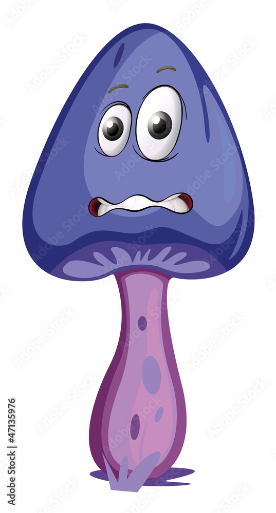 A mushroom with a face A mushroom with a face